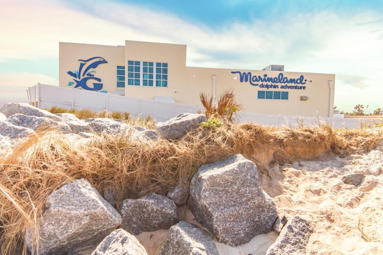 - Ocean Village Club E17 St. Augustine Dış mekan fotoğraf